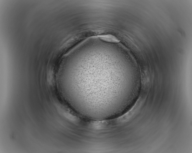 X0000112730136200909031453