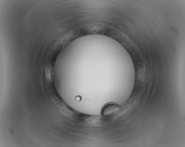 X0000112730138200909031453