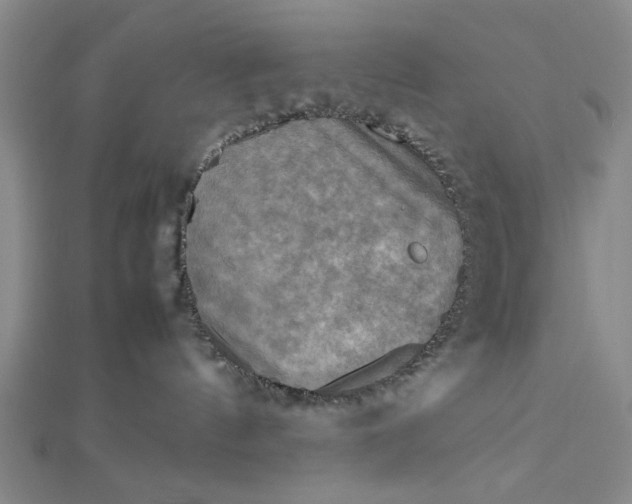 X0000112730144200909031453