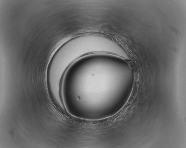 X0000112730148200909031452