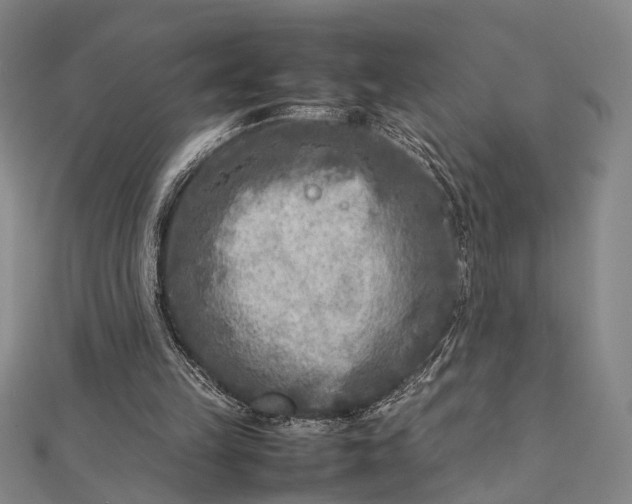 X0000112730149200909031452