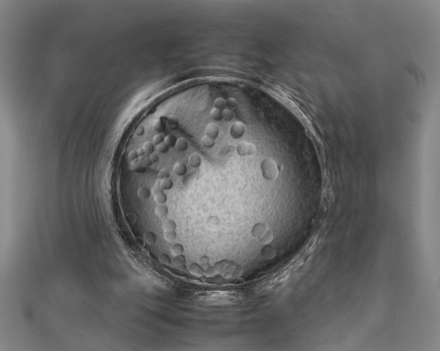 X0000112730151200909031452