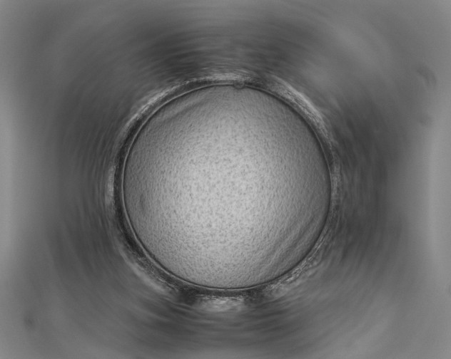 X0000112730155200909031452