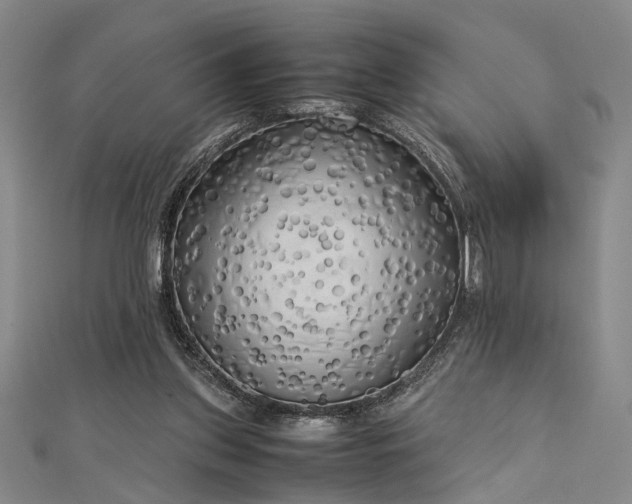 X0000112730157200909031452