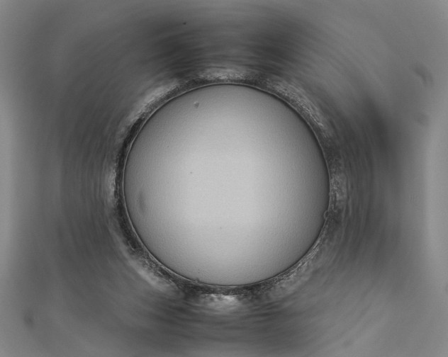 X0000112730159200909031452