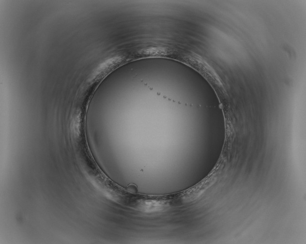 X0000112730163200909031452