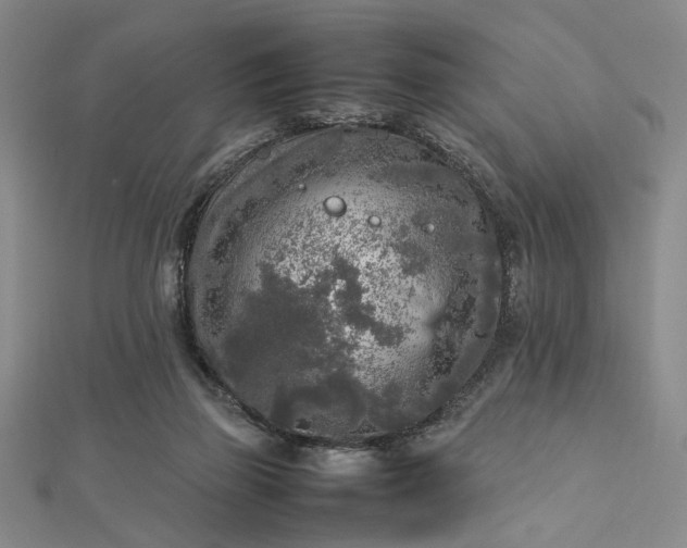 X0000112730165200909031452