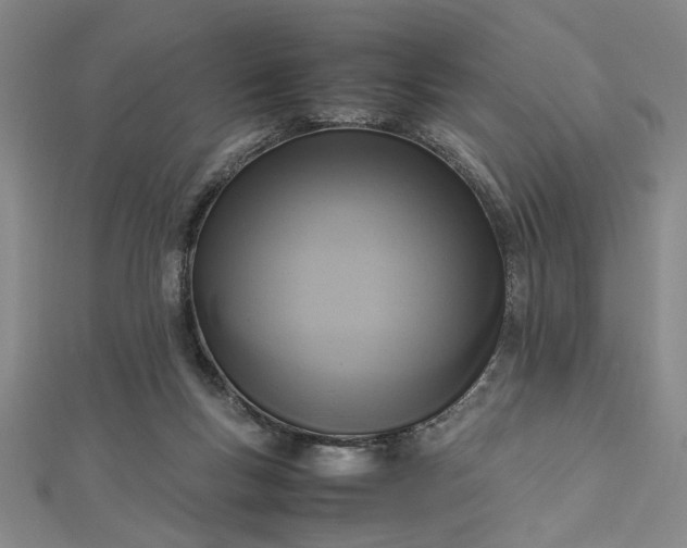 X0000112730167200909031452