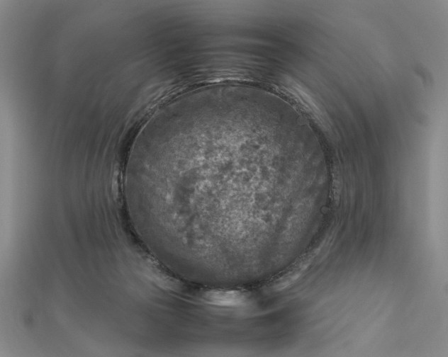 X0000112730169200909031452