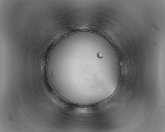 X0000112730171200909031452