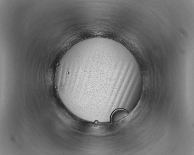 X0000112730174200909031452