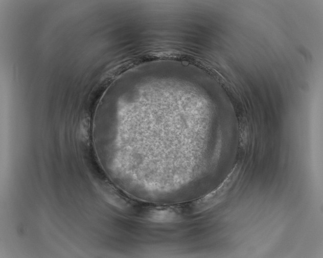 X0000112730175200909031452