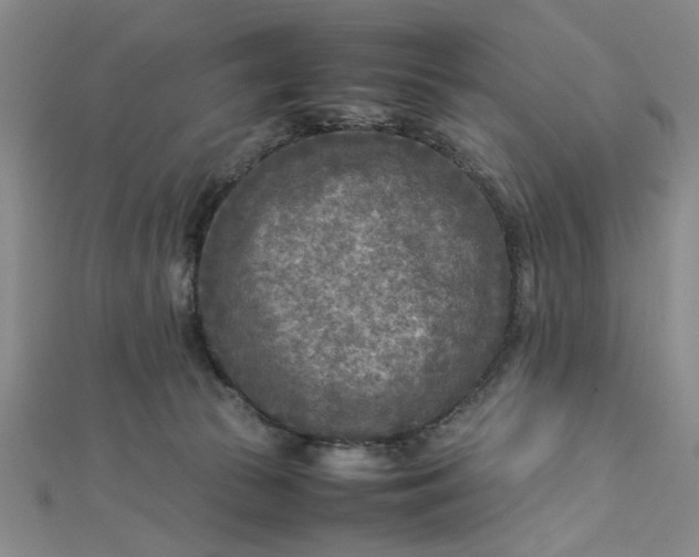 X0000112730177200909031452