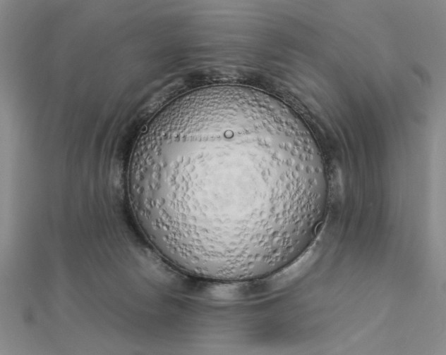 X0000112730178200909031452