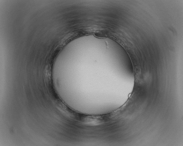 X0000112730179200909031452