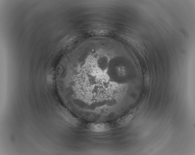 X0000112730181200909031452