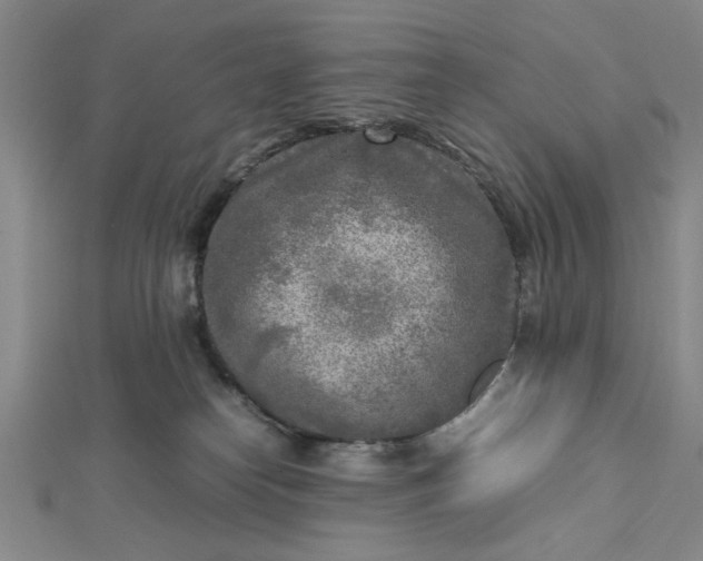 X0000112730182200909031452