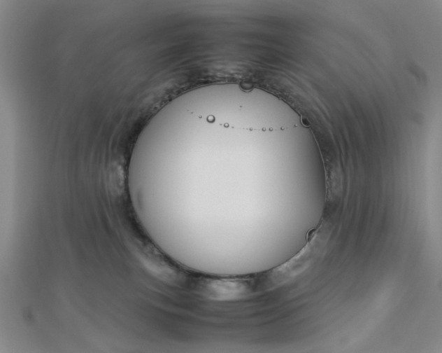 X0000112730183200909031452