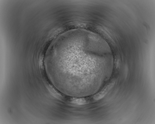 X0000112730185200909031452