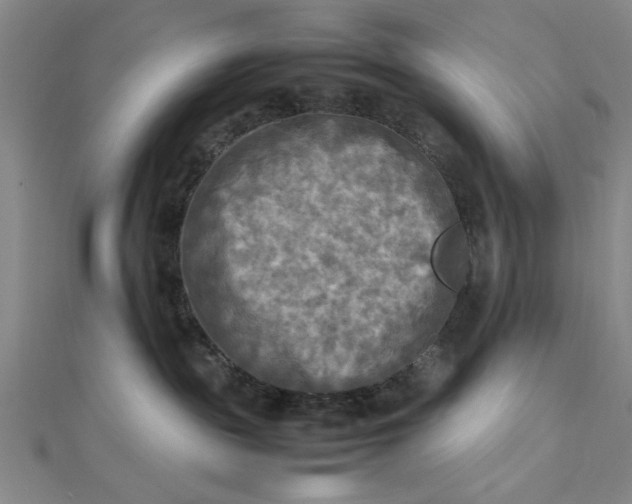 X0000112730189200909031452