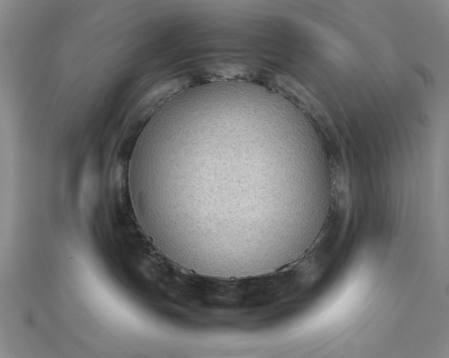 X0000112730191200909031453