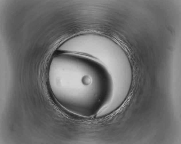 X0000112730193200909031452