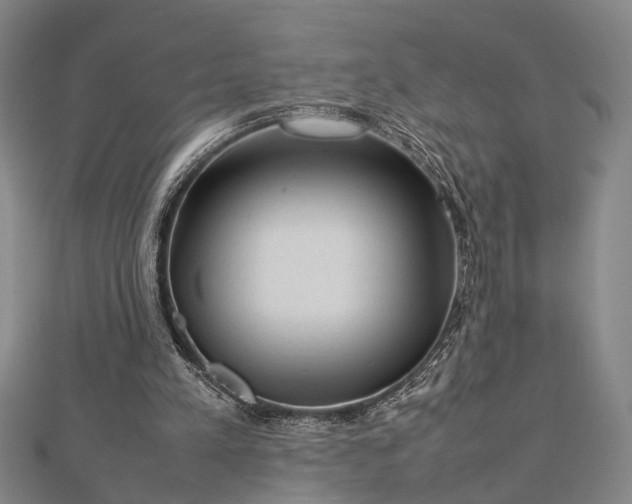 X0000112730197200909031452