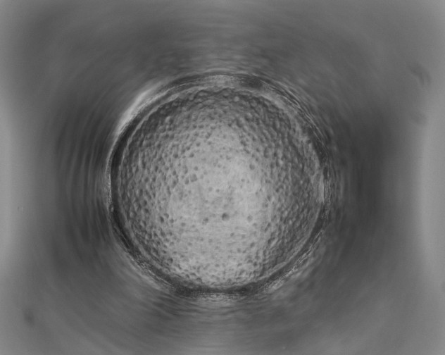 X0000112730198200909031452