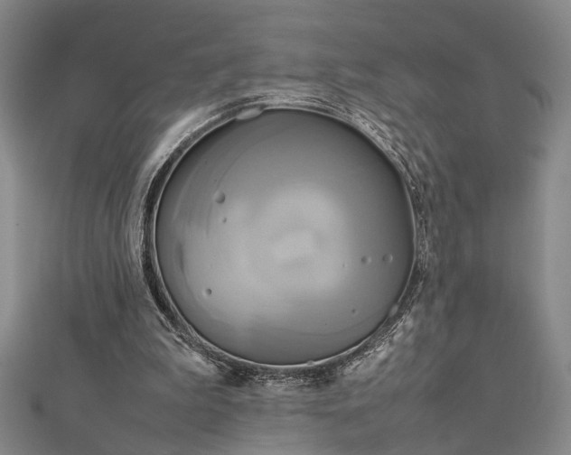 X0000112730199200909031452