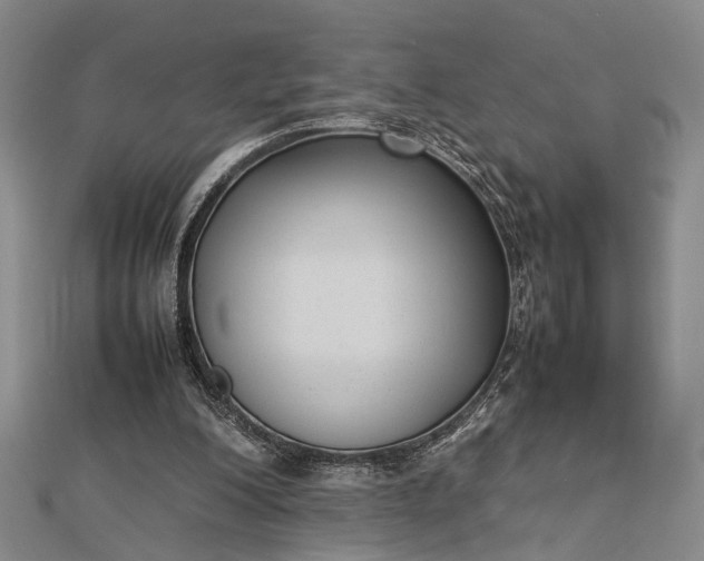 X0000112730200200909031452