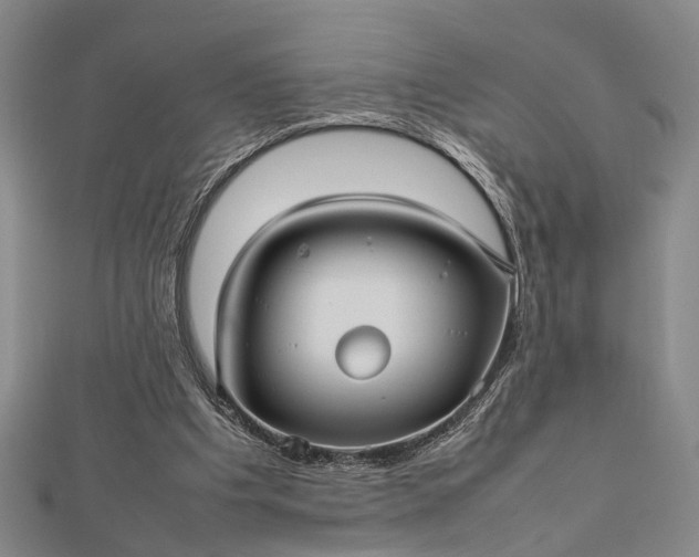 X0000112730201200909031452