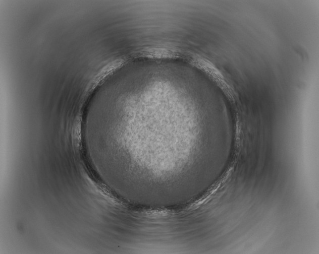 X0000112730202200909031452