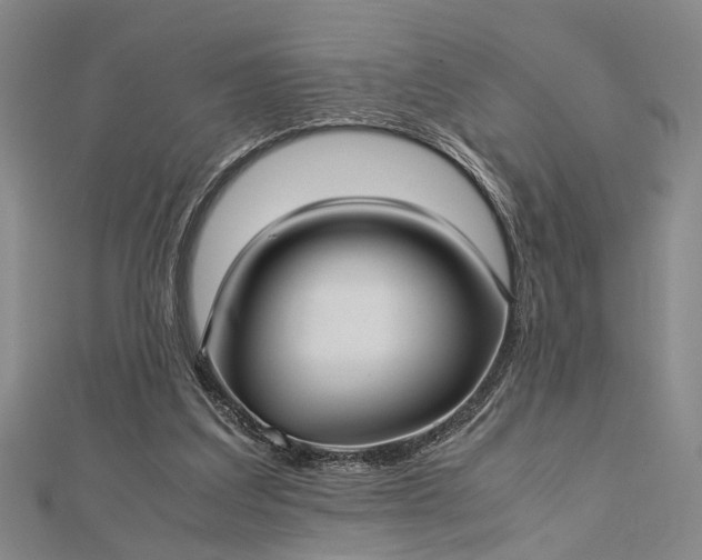 X0000112730203200909031452