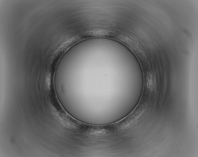 X0000112730206200909031452