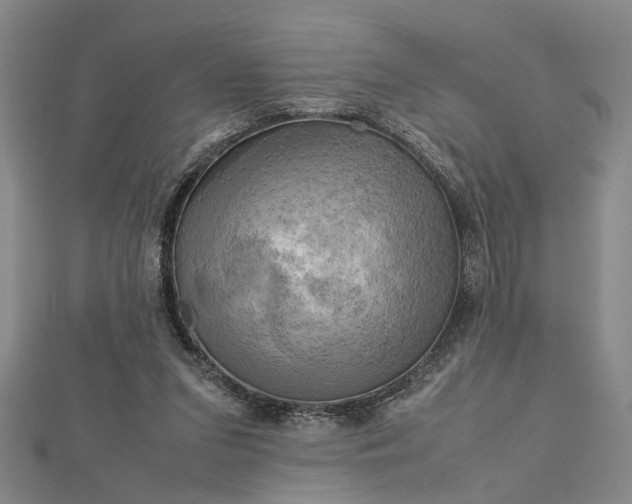 X0000112730207200909031452