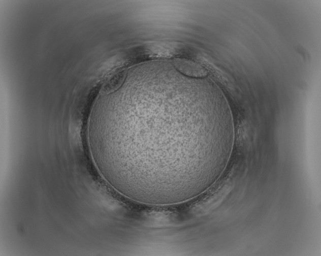 X0000112730209200909031452