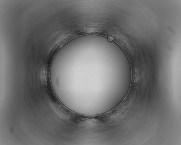 X0000112730210200909031452