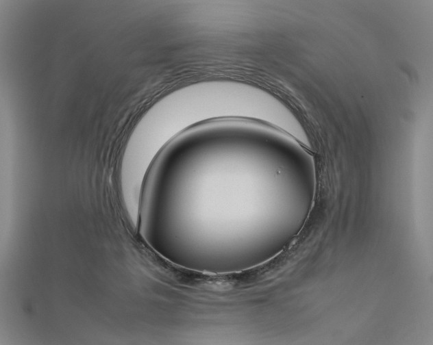 X0000112730217200909031452