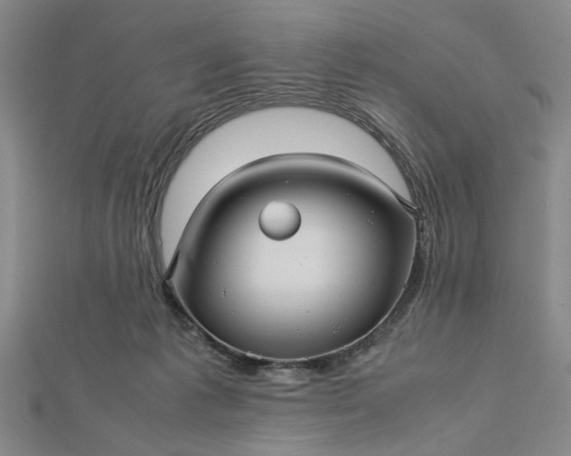 X0000112730221200909031452