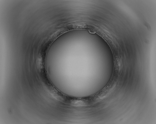 X0000112730224200909031452