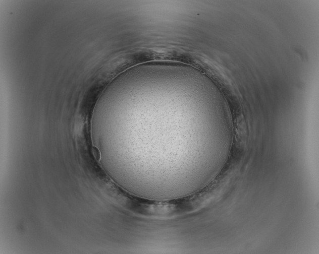 X0000112730225200909031451