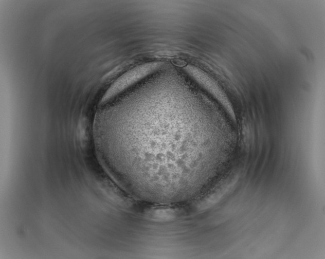 X0000112730228200909031451