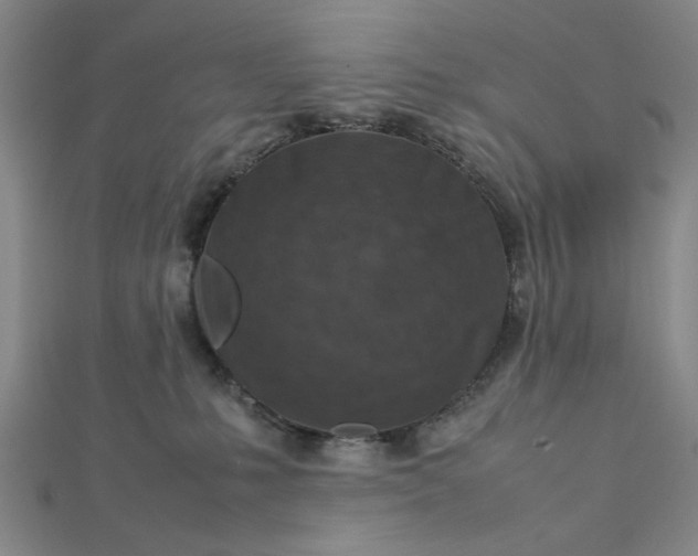 X0000112730231200909031451