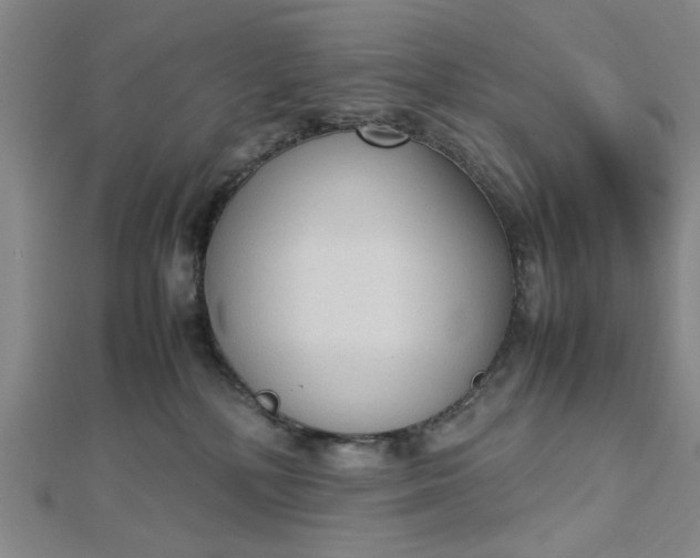 X0000112730232200909031451