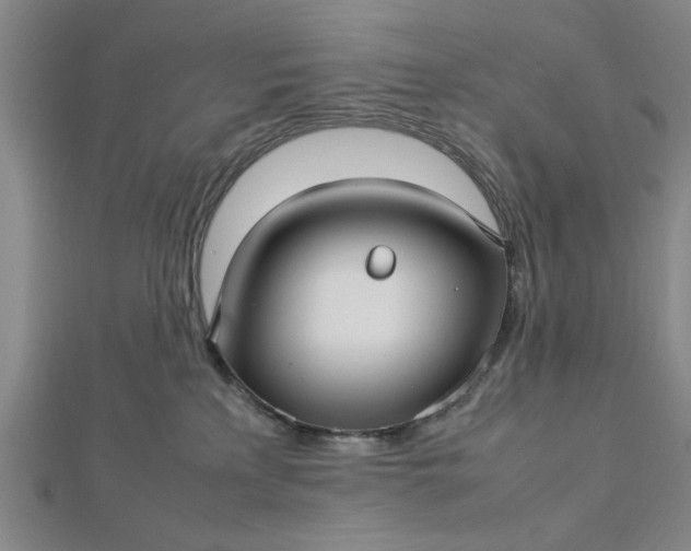 X0000112730233200909031451