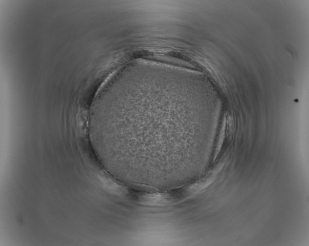 X0000112730237200909031451