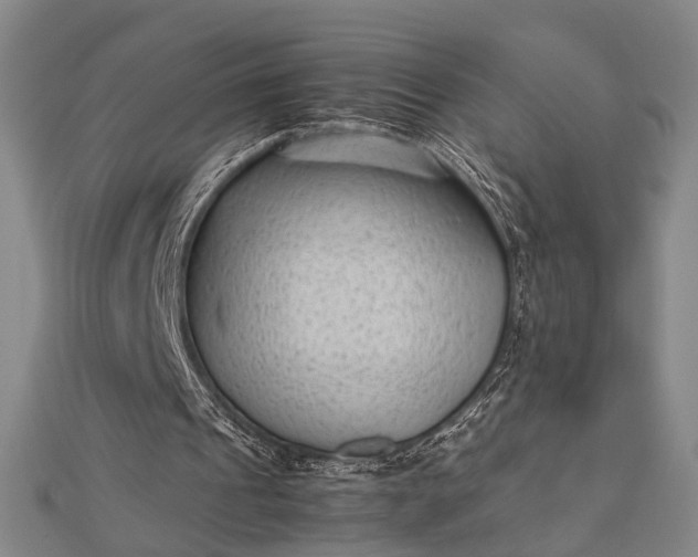 X0000112730241200909031451