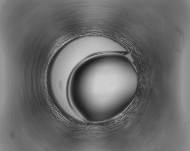 X0000112730242200909031451