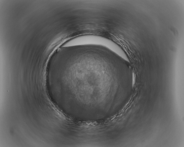 X0000112730243200909031451