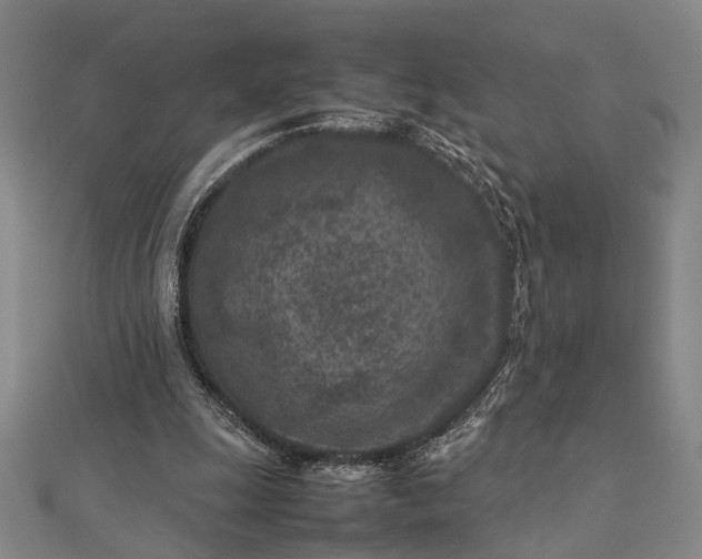 X0000112730247200909031451